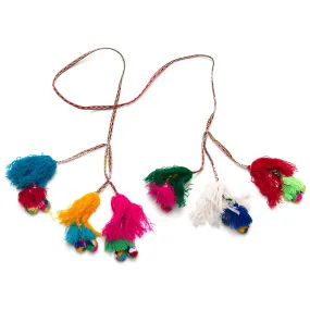 Colorful Tassel 2
