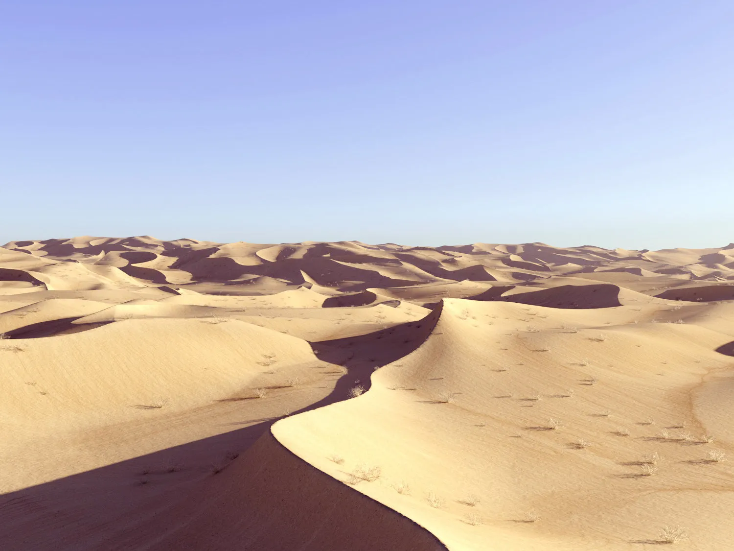 Lawrence Desert Pack