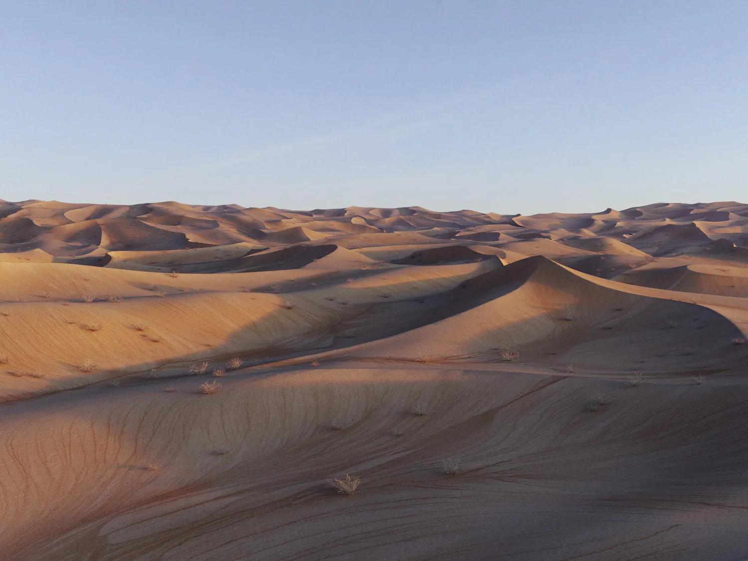 Lawrence Desert Pack